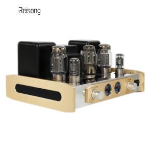 Reisogn A20 Vacuum Tube Amplifier